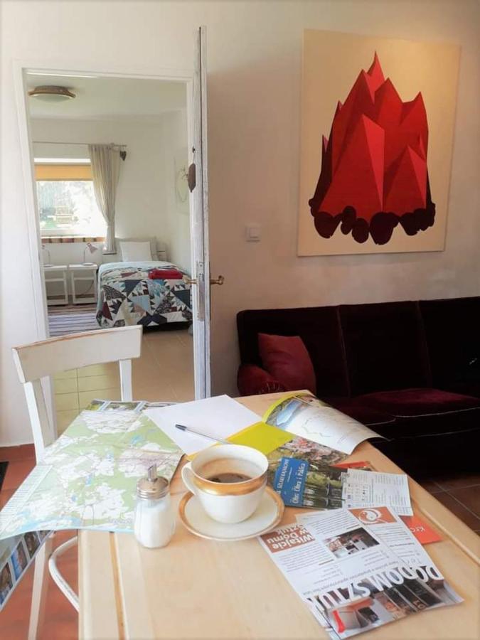 Dom Sztuk - House Of Arts Apartment Miedzyrzecz ภายนอก รูปภาพ